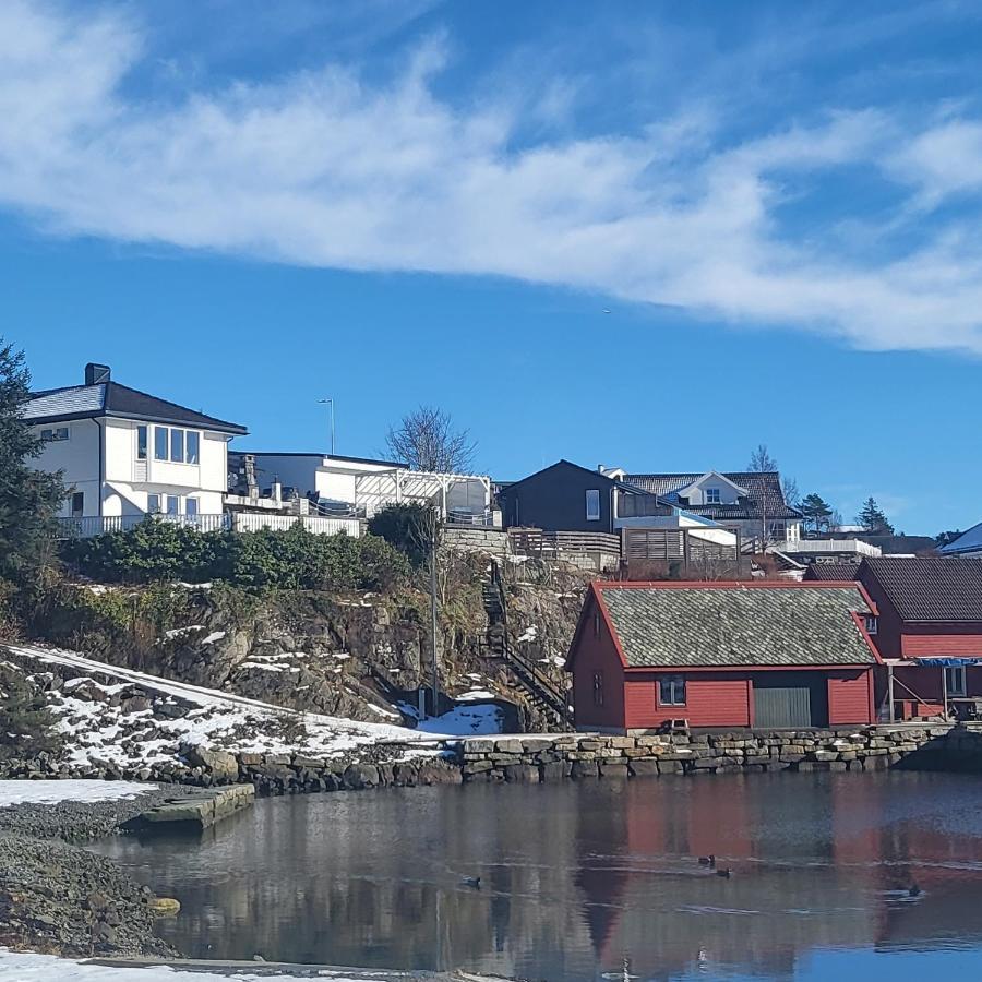 Cute Apartment By The Ocean Foldnes Экстерьер фото